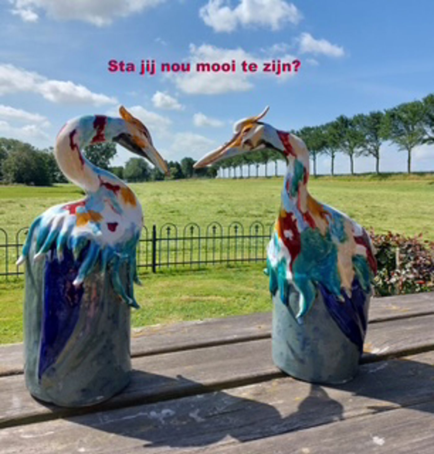 evalien-de-lange-20240808_123433.jpg